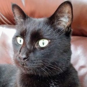 Meet your Posher, Robert